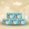 Neela premium sanitary napkin combo pack